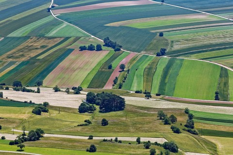 Fields