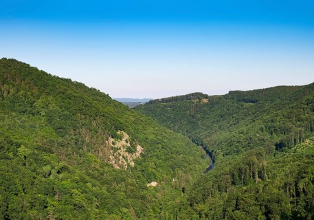View from Schauenstein castle over the Kamptal