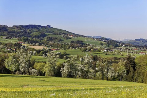 Sonntagberg with flowering pear trees