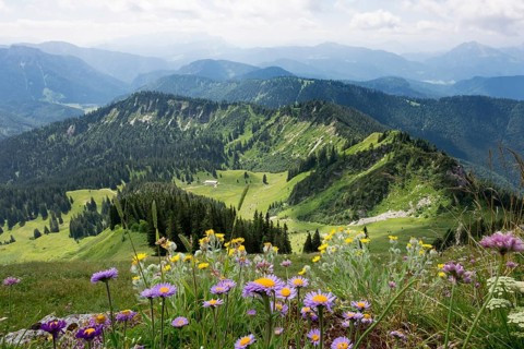 View from Hochgern mountain over Grundbach-Alm