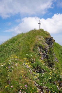 Summit cross and mountain flowers on Hochgern