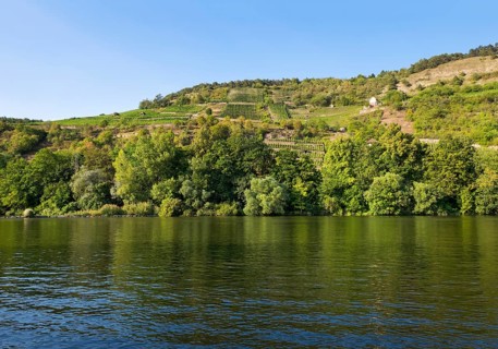 Grainberg and Kalbenstein with vineyards on Main river