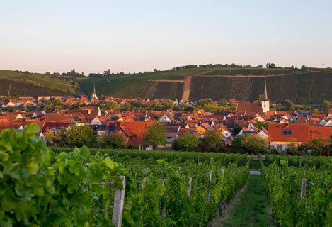 Nordheim am Main and Escherndorf behind