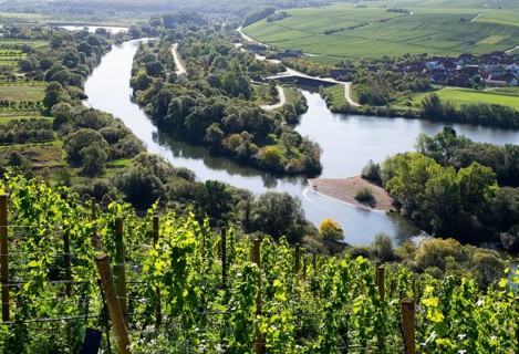 View from the castle over Alter Main