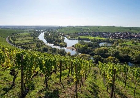 View from the castle over Alter Main