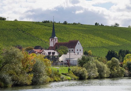 Stammheim am Main with vineyards at Stammheimer Eselsberg