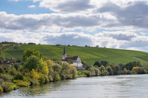 Stammheim am Main with vineyards at Stammheimer Eselsberg