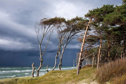 Dark clouds on Weststrand Beach