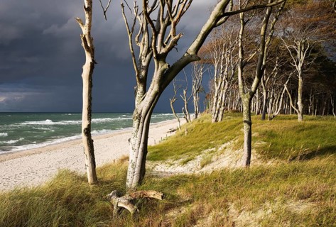 Dark clouds on Weststrand Beach