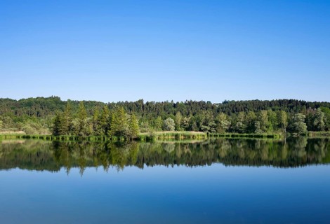 Ickinger Reservoir in the Nature Reserve Isarauen with the Church of Icking