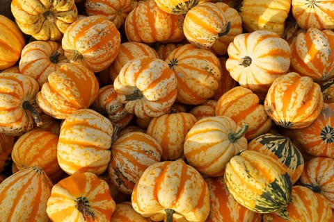 Microwave pumpkins