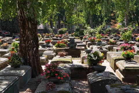 Old graves at the historic St. Rochus Cemetery