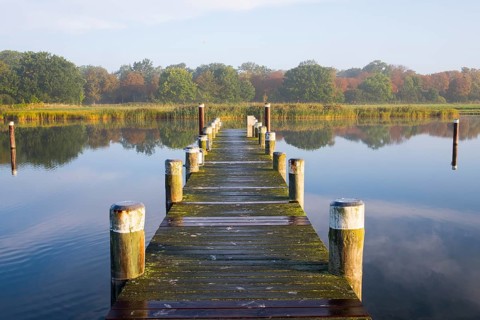 Jetty