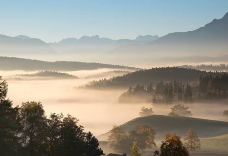 Morning fog