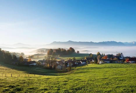 Aidling with fog in autumn