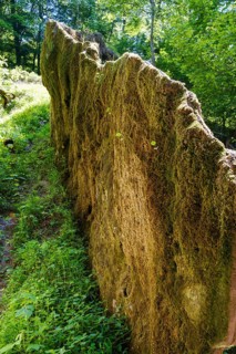 Growing rock