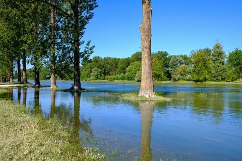 Isar at high tide