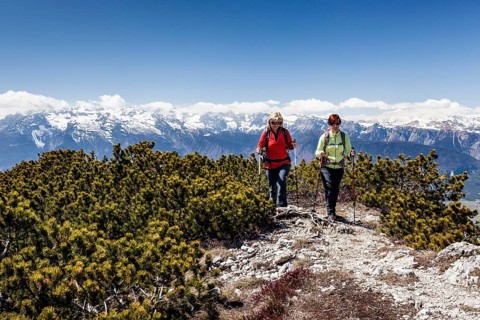 Hiker on the summit of Wiggerspitz