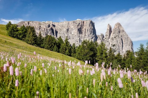 Schlern with the Santner and Euringer crags