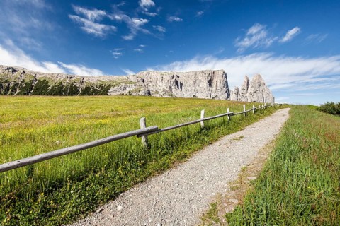 Seiser Alm in the Schlern-Rosengarten Nature Park