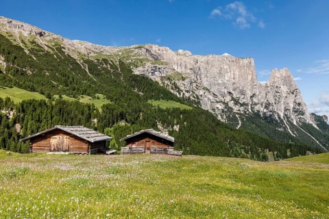 Spring on the Seiser Alm in the Schlern-Rosengarten Nature Park