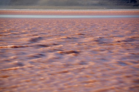 Laguna Colorada with red water caused by high algae content