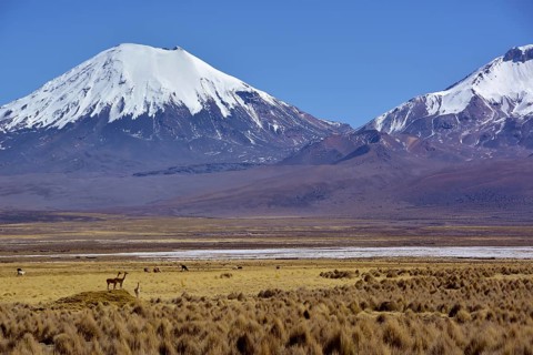 Snow-covered volcanoes Pomerape and Parinacota
