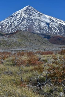Snow covered volcano Lanin