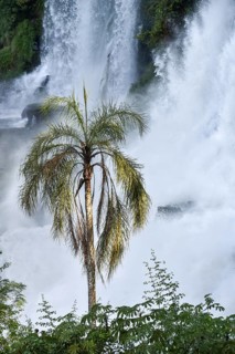 Falling water masses with palm trees