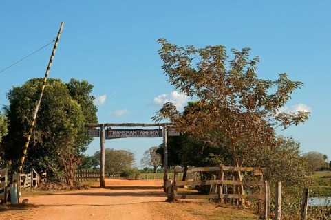 Transpantaneira road leading into the Pantanal