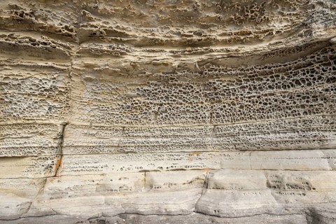 Tafoni