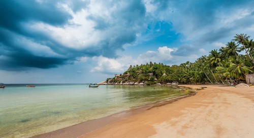 Sandy beach beach with palm trees