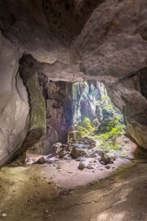 Stalactite cave in the jungle