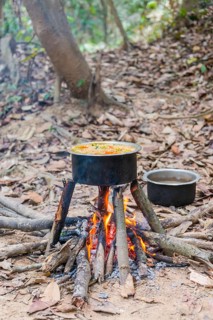 Pot of food on a campfire in the jungle