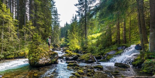 Hiker on a rock in the river