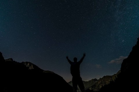Silhouette of person looking at the stars