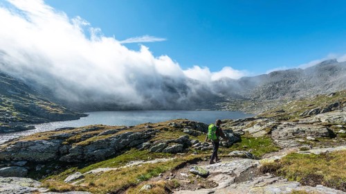 Hiker standing on rock