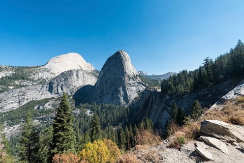 Liberty Cap