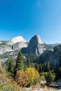 Liberty Cap