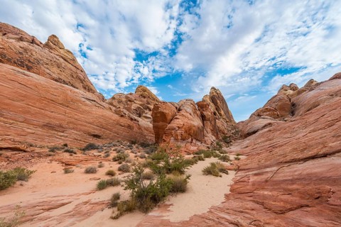 Red orange sandstone rock