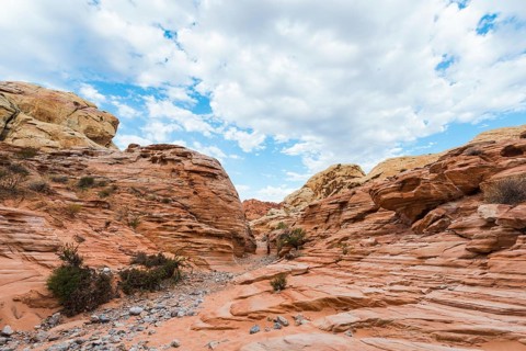 Red orange sandstone rock