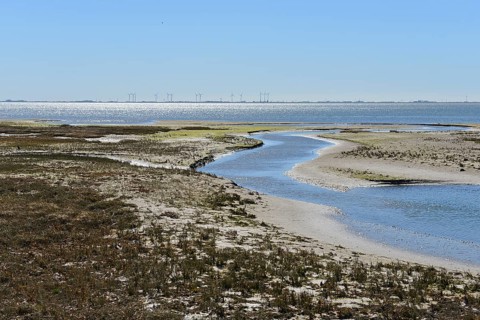 Narrow channel in alluvial land