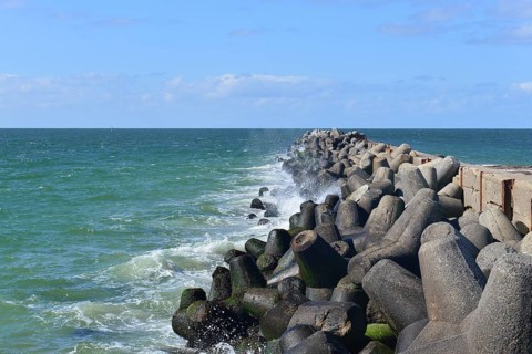 Tetrapods