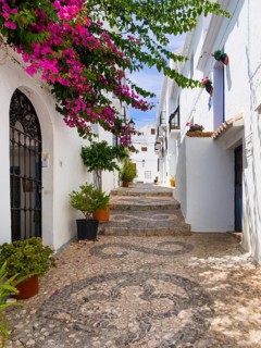 White houses in narrow alleyway