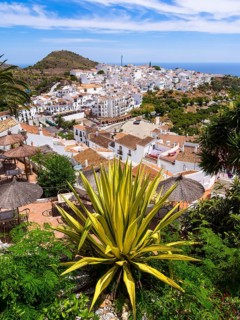 View of white houses in Frigiliana