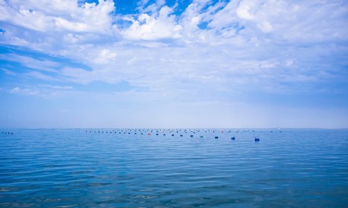 Barrel in the sea to mark oyster beds