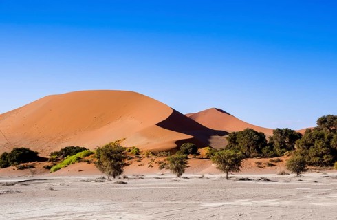 Sand dunes on the edge of the Namib Desert