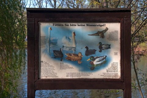 Sign on feeding ban of waterfowl