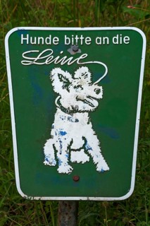 Dogs must be on a leash