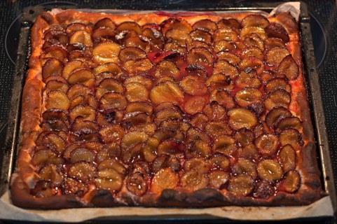 Baked plum cake on a baking tray